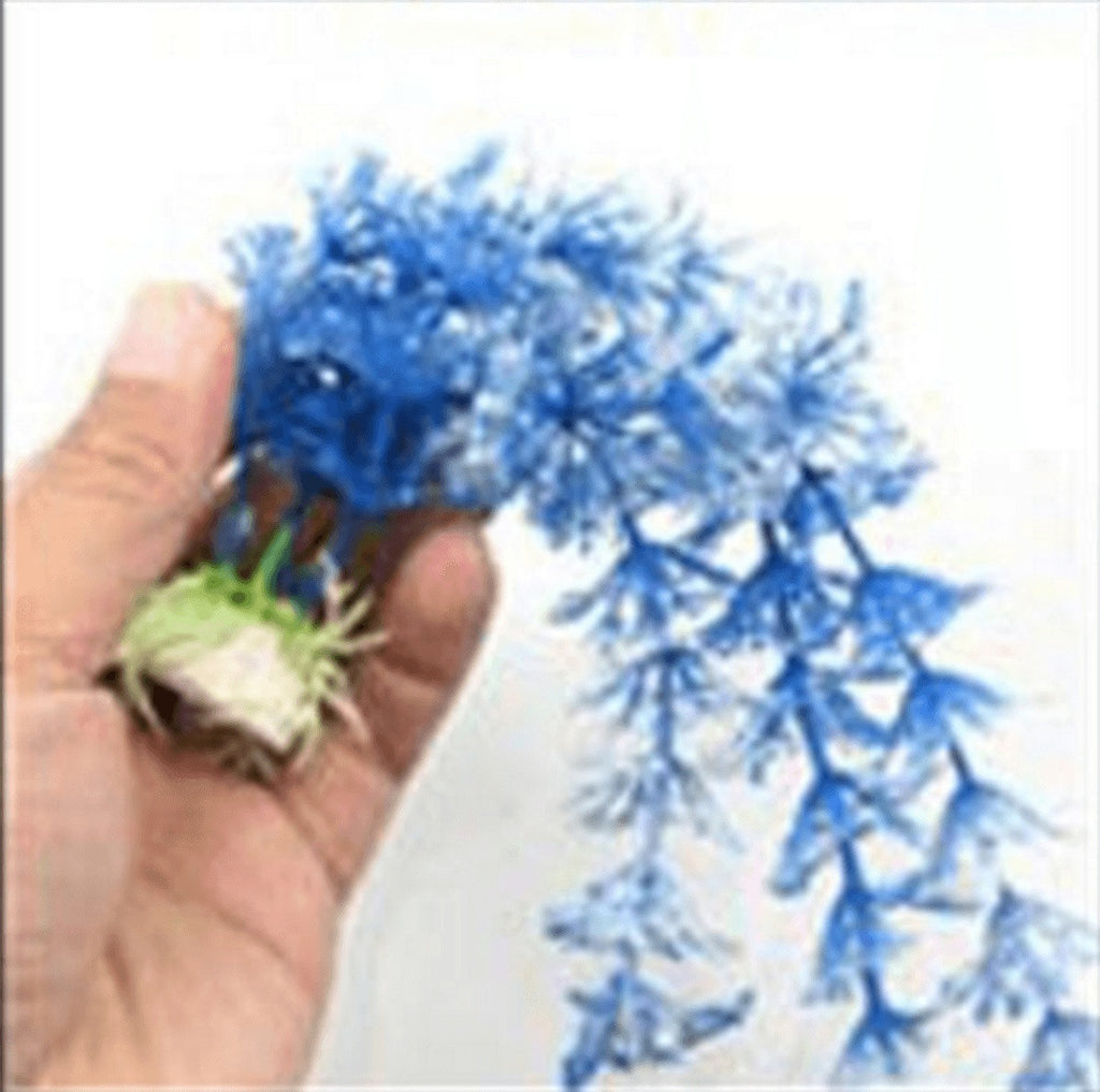 Artificial Aquarium Blue Grass - Friends of Irony LLC